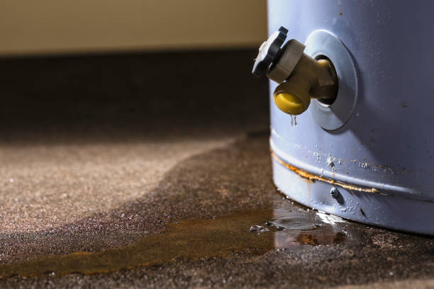 Best Professional water damage repair  in Fayetteville, NC