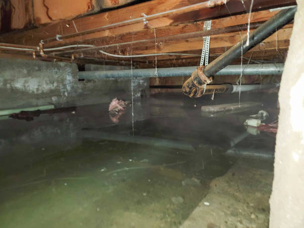 Best Ceiling water damage repair  in Fayetteville, NC