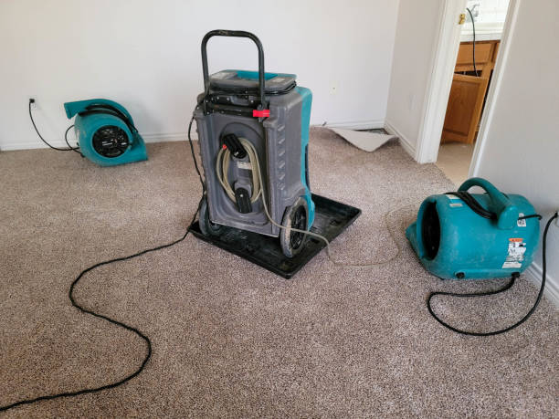 Water damage restoration mold remediation in Fayetteville, NC