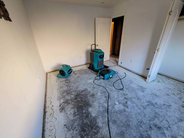 Best Local water damage restoration  in Fayetteville, NC