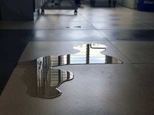 Best Commercial water damage restoration  in Fayetteville, NC