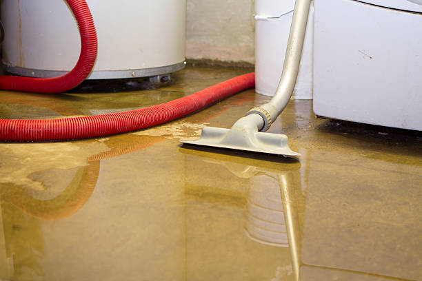 Best Carpet water damage restoration  in Fayetteville, NC