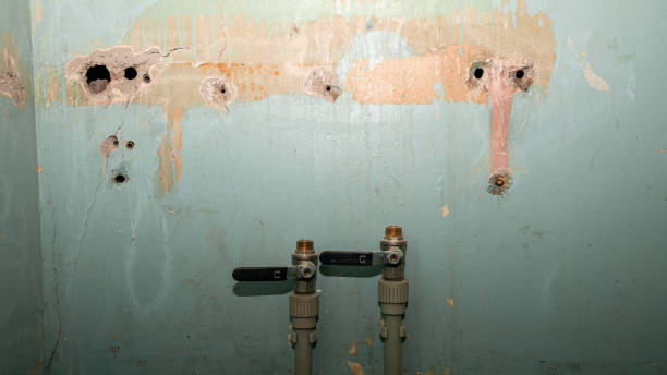 Best Water damage restoration cost  in Fayetteville, NC