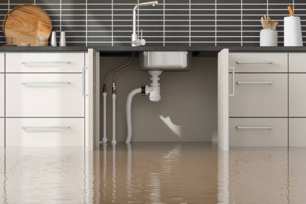 Best 24-hour water damage restoration  in Fayetteville, NC