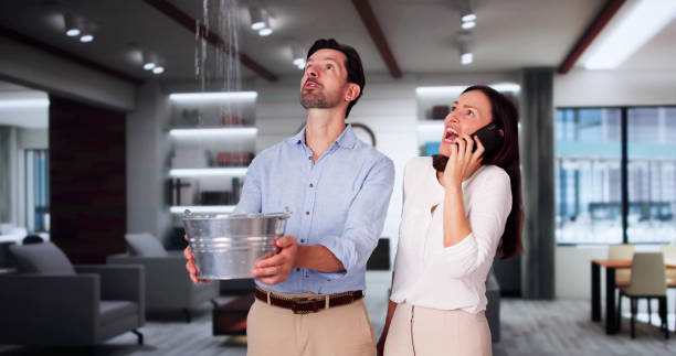 Best Mold removal after water damage  in Fayetteville, NC